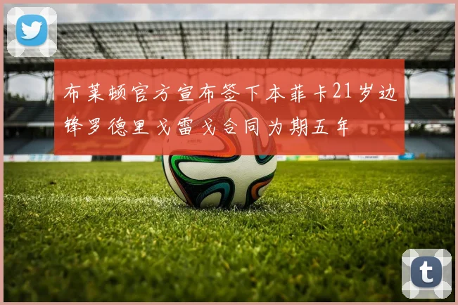布莱顿官方宣布签下本菲卡21岁边锋罗德里戈雷戈合同为期五年