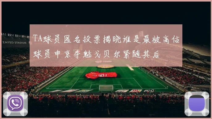 TA球员匿名投票揭晓谁是最被高估球员申京夺魁戈贝尔紧随其后