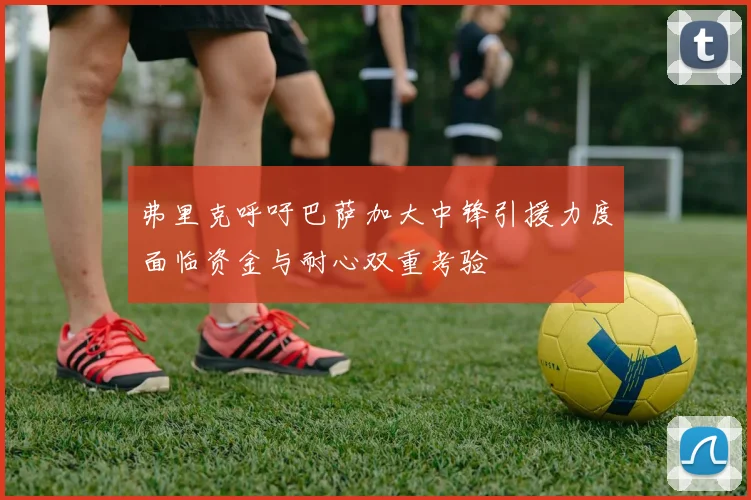 弗里克呼吁巴萨加大中锋引援力度面临资金与耐心双重考验
